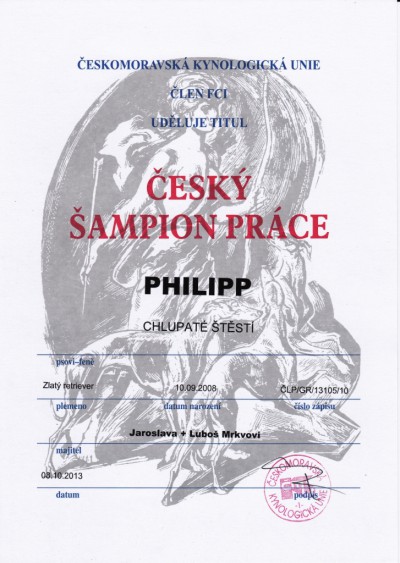 sampion-prace-web.jpg